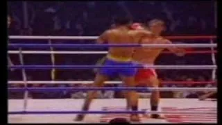 Muay Thai Kick BOXE Ramon Dekkers K1 PRIDE MMA UFC