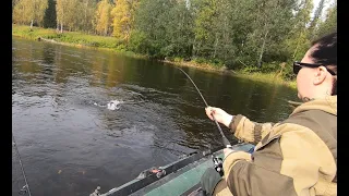 В ТАЙГУ ПО ЛЕСНЫМ РЕКАМ, РЫБАЛКА НА ХАРИУСА, ОТДЫХ В СВОЕЙ ИЗБЕ