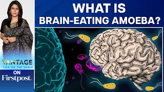 Brain-Eating Amoeba Takes Another Life | Vantage with Palki Sharma