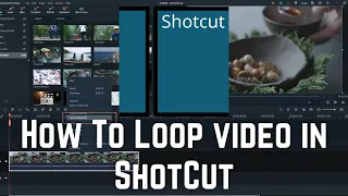 How To Loop video in ShotCut