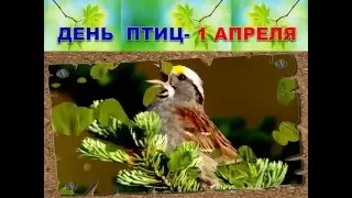 МЕЖДУНАРОДНЫЙ ДЕНЬ ПТИЦ 1 АПРЕЛЯ