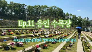 Ep.11 용인시 수목장ㅣ남향의 계단식 배열로 햇빛이 좋은 수목장ㅣ분양 상담 및 가격 안내(박혜수실장_010 8807 8011)