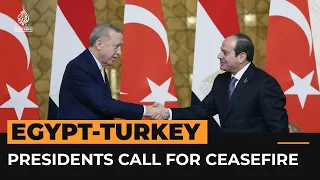 Turkey and Egypt call for ceasefire in Gaza  | Al Jazeera Newsfeed