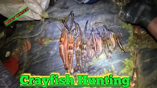 Crayfish Hunt in Trinidad🇹🇹 - Ep268