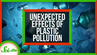 3 Unexpected Effects of Plastic Pollution