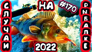 Хочешь быть счастливым, займись рыбалкой/Приколы на рыбалке 2022/Необычные случаи на рыбалке/