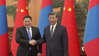 Си Цзиньпин провёл встречи с руководителями Барбадоса, Новой Зеландии, Монголии и Вьетнама