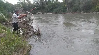 бешеный клёв на Сома, на реке Сунжа в Грозном