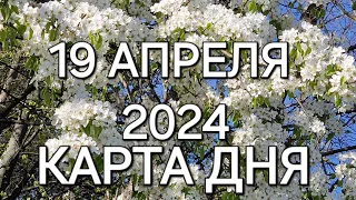 19 апреля  2024 | карта дня | все знаки зодиака 🃏🍀💫