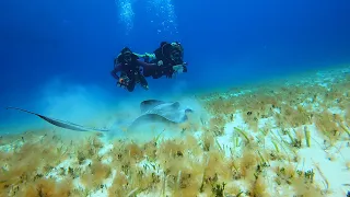 Cozumel February 2024 GoPro in 4K