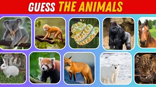 Guess 50 Animals in 3 Seconds | Easy, Medium, Hard, Impossible #guesstheanimal #fungame #animals