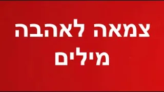 לירן דנינו-צמאה לאהבה | מילים