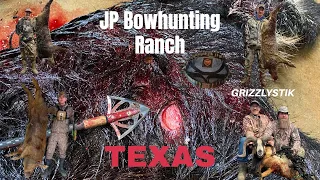 Hog hunting at JP Bowhunting Ranch