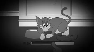 The Tom and jerry show Cat vs cucumber