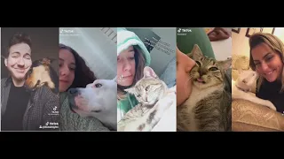 Kiss your pet on the head and see their reaction | Tiktok videos