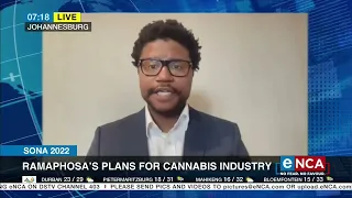 SONA 2022 | Ramaphosa's plans for cannabis industry