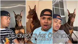 Sauvexavier & Knox (The Dog) | Tiktok Compilation