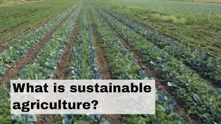 What is sustainable agriculture?
