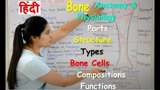 Bone Anatomy and Physiology in Hindi | Bone cells | compositions | Types | Structure | Functions