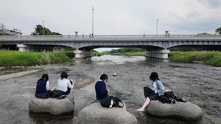 Evening at Kamogawa Delta: Kyoto's Serene Riverside Retreat(4K ASMR)