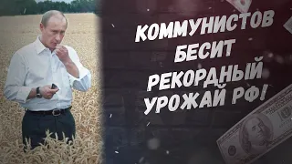 Срочно, рекордный урожай России бесит коммунистов!