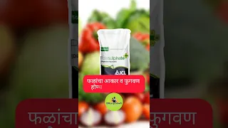 ICL polysulphate fertilizer #shorts #shortvideo #fertilizer