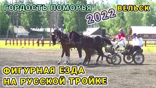 Figure Riding on the Russian Troika - Equestrian Sport Velsk 2022