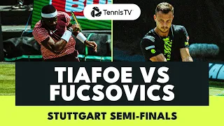 Frances Tiafoe vs Marton Fucsovics Highlights | Stuttgart 2023 Semi-Final