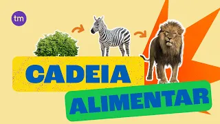 Como funciona uma Cadeia Alimentar?