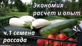 Экономное ведение  дачного хозяйства. Ч.1. Семена и рассада. Расчет необходимого  количества.