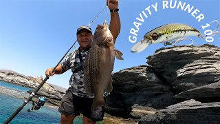 4 Massive Grouper strikes on the new Gravity Runner 100. Feat: SGS6 rod "Savage Angler 60-150gr