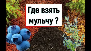 Мульча для голубики. Где достать и сколько стоит.