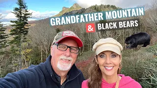 We visited the Beautiful GRANDFATHER MOUNTAIN in Western North Carolina!