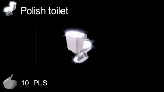польский унитаз   polish toilet