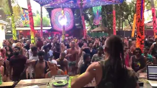 Module Virus at Free Earth Festival Pre Party - Hilltop Goa 2018