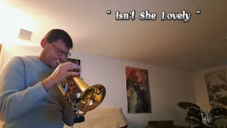 " Isn't She Lovely " Stevie Wonder ( Flugelhorn  Solo)