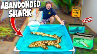 I Rescued A $2,000 SHARK For My Saltwater Pond!