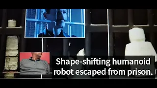 Shape-shifting humanoid robot escaped from prison.