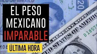 peso mexicano vs dolar : SUBE el peso mexicano ¿16 por dólar? | politica monetaria