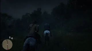 Red Dead Redemption 2  серия 26