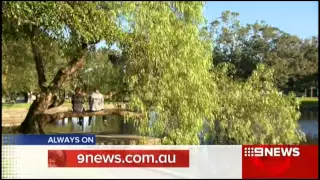 Nine News Sydney: Highlights (1/7/2015)