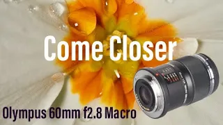 Olympus 60mm f2.8 Macro Lens - Take A Closer Look At Life