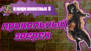 ДОМАШНИЕ ЖИВОТНЫЕ ПРИКОЛЫ/Приколы смеХАХочу 2020/ Подборка “В МИРЕ ЖИВОТНЫХ №6️⃣