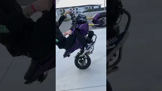 Honda grom no handers!!