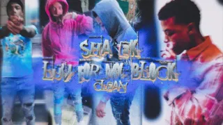 Luv for my block - sha ek Clean #shaek #talkofthetown #bronxdrill