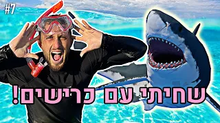 שחיתי עם כרישים!! (הדבר הכי מסוכן שעשיתי בחיים שלי!!)