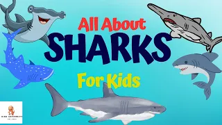 Types of Sharks You should know today!!