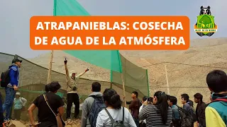 Atrapanieblas: Cosecha de agua de la atmósfera promedio de 20L por m2 por día