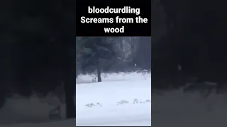 Hunter Captures bloodcurdling screams on camera