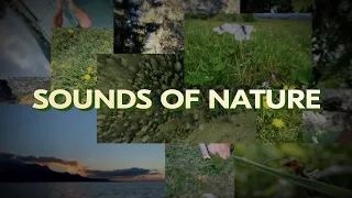 Sounds of Nature (Switzerland)